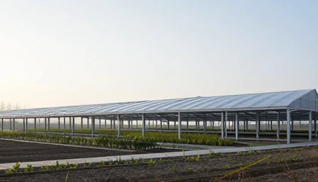 企业信息查询服务在数据整合中的选型建议