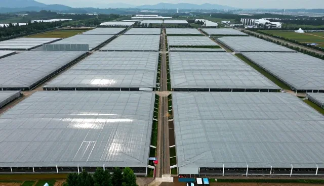佛山专业网站设计公司:信息发布与企业信息查询服务的融合实践
